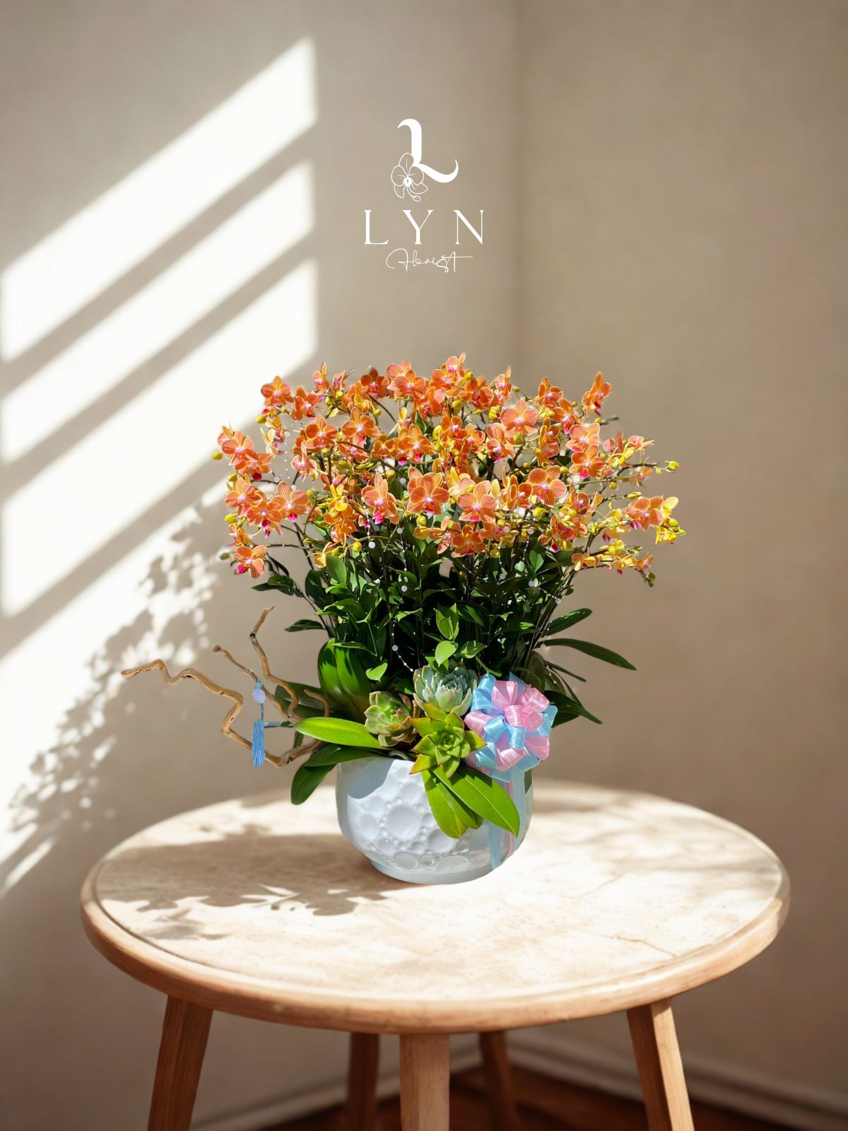 Chậu Hoa Lan Mini Cam Vàng 